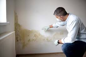 Best Commercial Mold Inspection in Homeland, GA